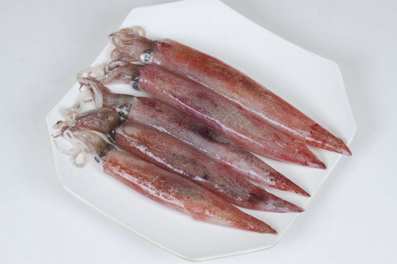 mực trứng số 5