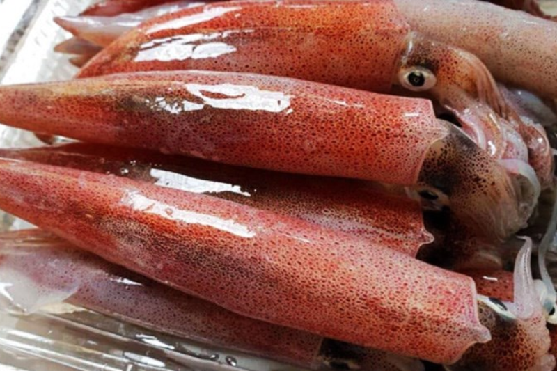 mực trứng số 5