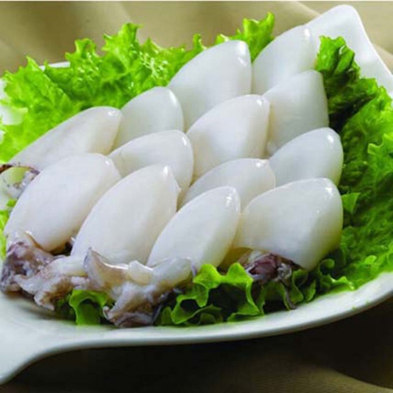 đặc điểm mực nang nút