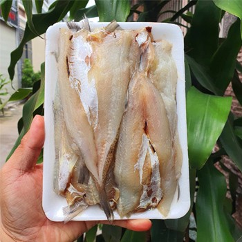 mua cá mối xẻ